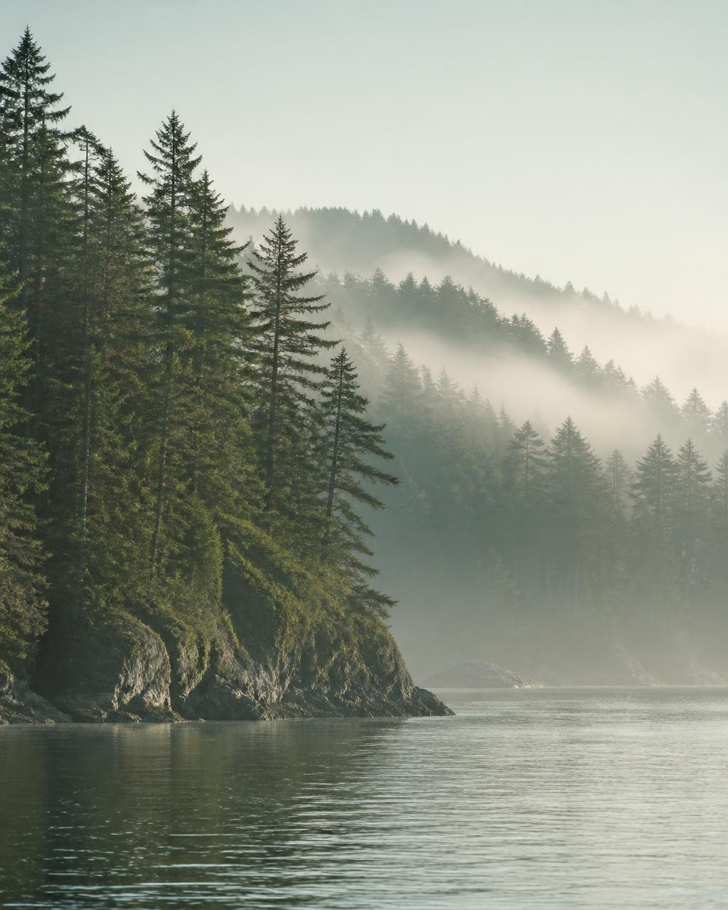 Still coastal water and evergreens in soft teal morning mist on the British Columbia coast